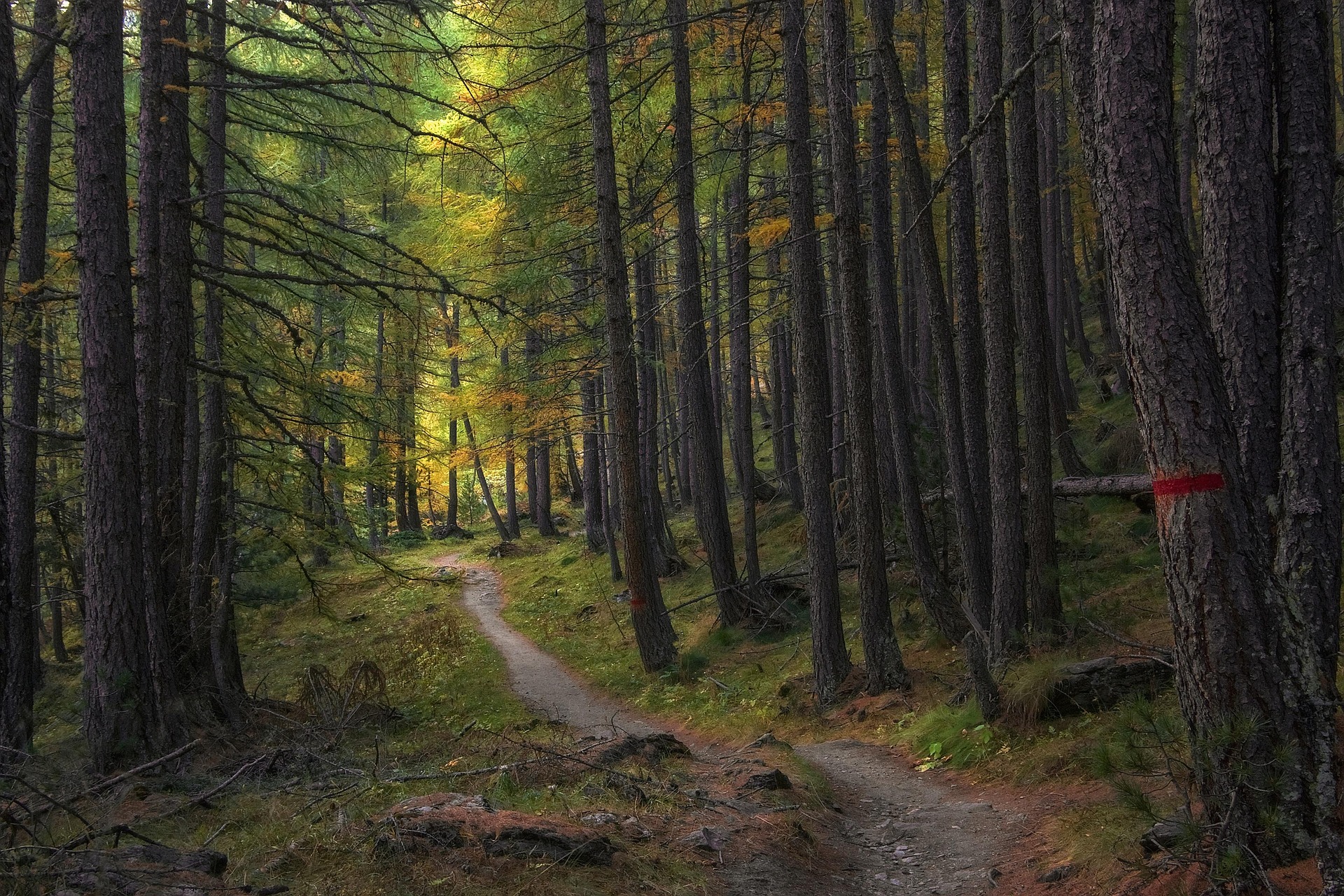 trail